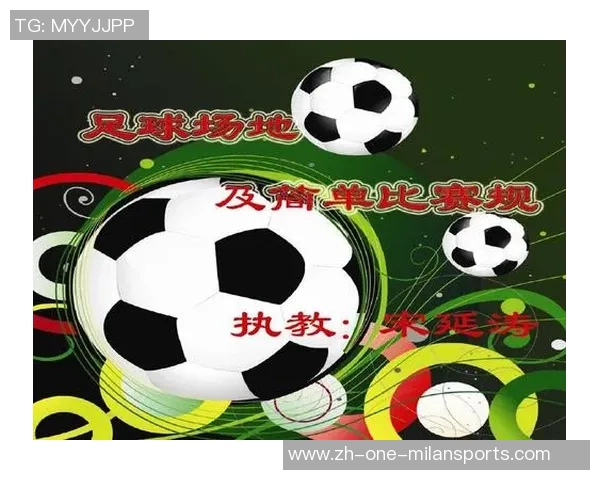 足球与乒乓球的比赛场地面积差异探讨与分析